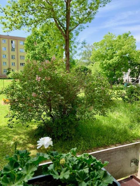 Apartman Snyt Primka 올로모우츠 외부 사진
