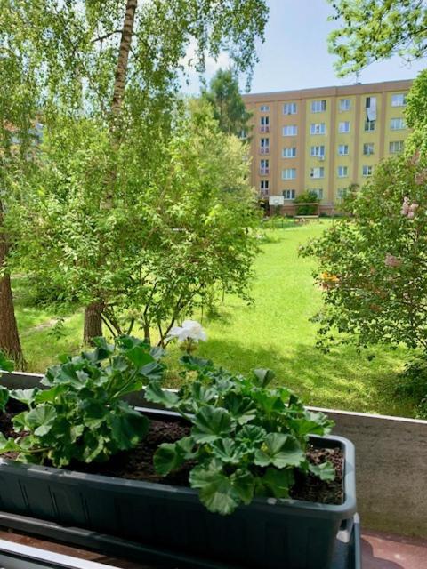 Apartman Snyt Primka 올로모우츠 외부 사진